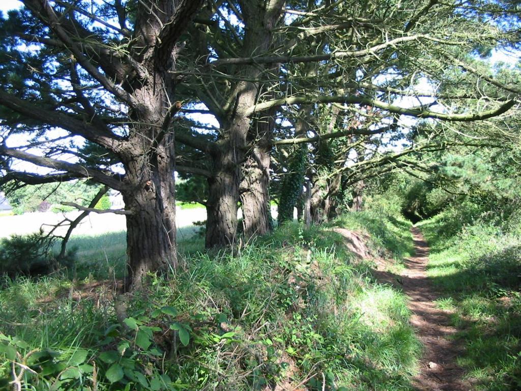 En Bretagne, Villa De 2 A 8 Pers , Meuble De Tourisme 3 Etoiles Nichee Dans Un Ecrin De Verdure A 2500M De La Plage Ploumilliau Buitenkant foto